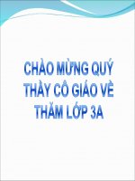 Tuần 26. Rước đèn ông sao