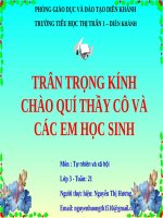 Bài 42. Thân cây (tiếp theo)
