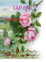 Tuần 32. Người đi săn và con vượn