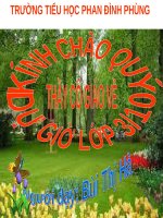 Tuần 21. Bàn tay cô giáo