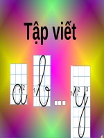 Viết 29 chu cai