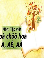 Tuần 25. Tô chữ hoa: A, Ă, Â, B