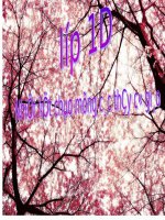 Tuần 1. Tặng cháu