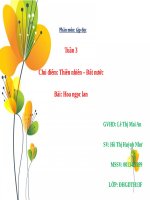 Tuần 3. Hoa ngọc lan