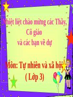 Tuần 26. MRVT: Lễ hội. Dấu phẩy