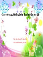 thực hành tiếng việt l1 trang 106