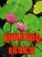 Bài 89. iêp, ươp