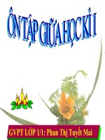 ÔN TẬP KIỂM TRA GIỮA HKI - LỚP 1