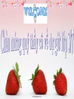 Tuần 26. MRVT: Lễ hội. Dấu phẩy