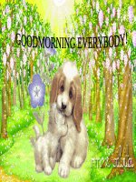 Unit 15: Do you have any toys?