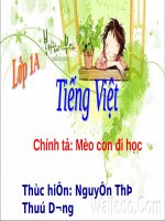 Tuần 7. Mèo con đi học