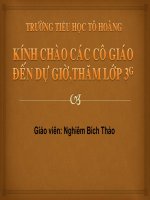 Tuần 8. Kể về người hàng xóm