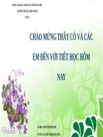 Tuần 25. Kể về lễ hội