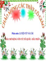 Tuần 20. MRVT: Tổ quốc. Dấu phẩy