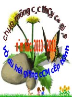 Bài 10. Tôn trọng khách nước ngoài