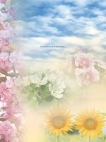 Tuần 3. Ai dậy sớm