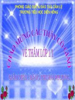 Tuần 7. Mèo con đi học