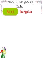 Tuần 3. Ai dậy sớm