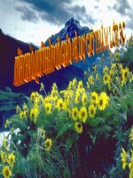 Tuần 23. Kể lại một buổi biểu diễn nghệ thuật