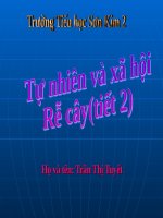 Bài 44. Rễ cây (tiếp theo)