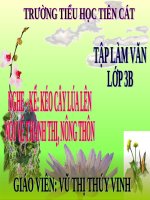 Tuần 16. Nghe-kể: Kéo cây lúa lên. Nói về thành thị, nông thôn