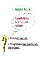 Tuần 15. MRVT: Các dân tộc. Luyện đặt câu có hình ảnh so sánh