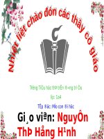 Tuần 7. Mèo con đi học