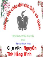Tuần 7. Mèo con đi học