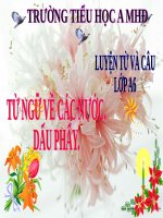 Tuần 31. MRVT: Các nước. Dấu phẩy