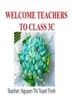 Unit 17: What toys do you like?