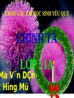 Tuần 11. Bác đưa thư