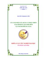 Các giải pháp xây dựng và phát triển loại hình du lịch phố đêm tại thành phố đà nẵng (tt)