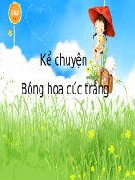 Tuần 5. Bông hoa cúc trắng