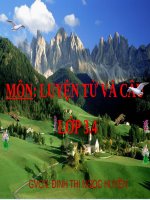 Tuần 26. MRVT: Lễ hội. Dấu phẩy