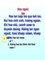 Tuần 3. Ai dậy sớm