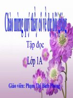 Tuần 6. Đầm sen