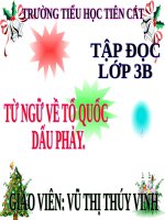 Tuần 20. MRVT: Tổ quốc. Dấu phẩy