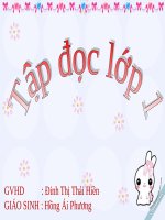 Tuần 3. Hoa ngọc lan