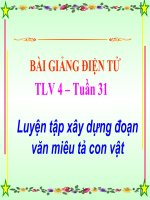 Tuần 31-32. Luyện tập xây dựng đoạn văn miêu tả con vật