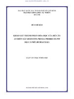 LUẬN án TS KHẢO sát THÀNH PHẦN hóa học của rễ cây AN điền sát HEDYOTIS PRESSA PIERRE EX PIT họ cà PHÊ ( RUBIACEAE) 
