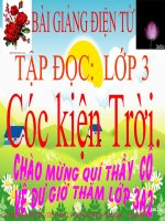 Tuần 33. Cóc kiện Trời