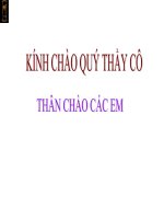 Bài 60. Nhu cầu không khí của thực vật