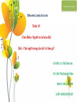 Tuần 19. Chủ ngữ trong câu kể Ai làm gì?