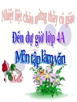 Tuần 7-8-9. Luyện tập phát triển câu chuyện