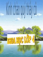 Bài 57. Thực vật cần gì để sống?