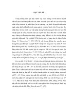 Nghiên cứu đặc điểm bộ gen của một số chủng enterovirus 71 gây bệnh chân tay miệng ở Việt Nam năm 2011 – 2013