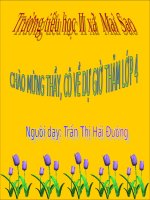 Bài 10. Xem tranh tĩnh vật