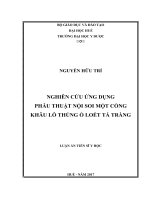 Nghiên cứu ứng dụng phẫu thuật nội soi một cổng khâu lỗ thủng ổ loét tá tràng