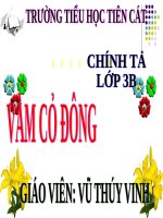 Tuần 13. Nghe-viết: Vàm cỏ Đông