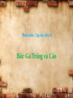 Tuần 5. Gà Trống và Cáo
